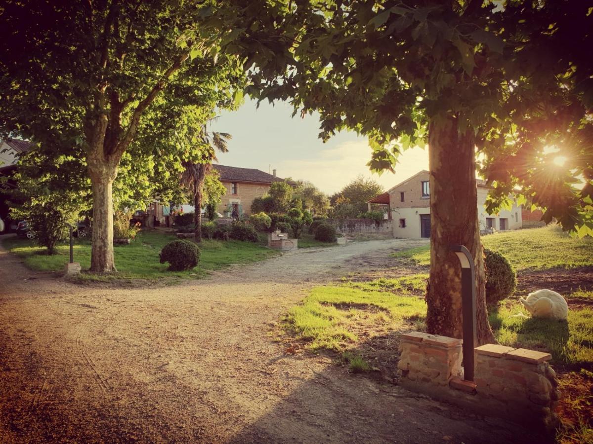 Domaine Des Jammetous - Hotel And Yoga Retreat Center La Magdelaine-Sur-Tarn Exteriér fotografie